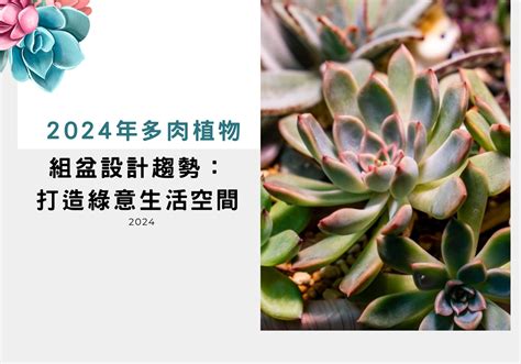 種多肉|2024年多肉植物完全指南：從挑選技巧到養護秘訣，一次掌握！